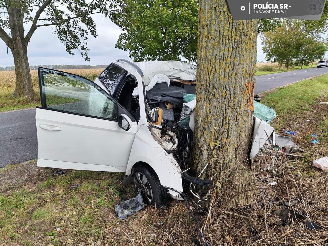 Ilustračný obrázok