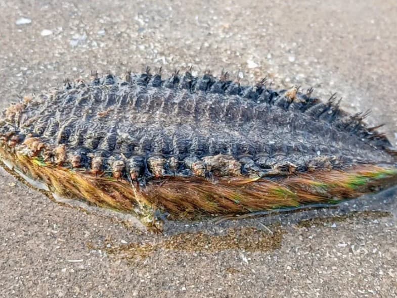 Ilustračný obrázok