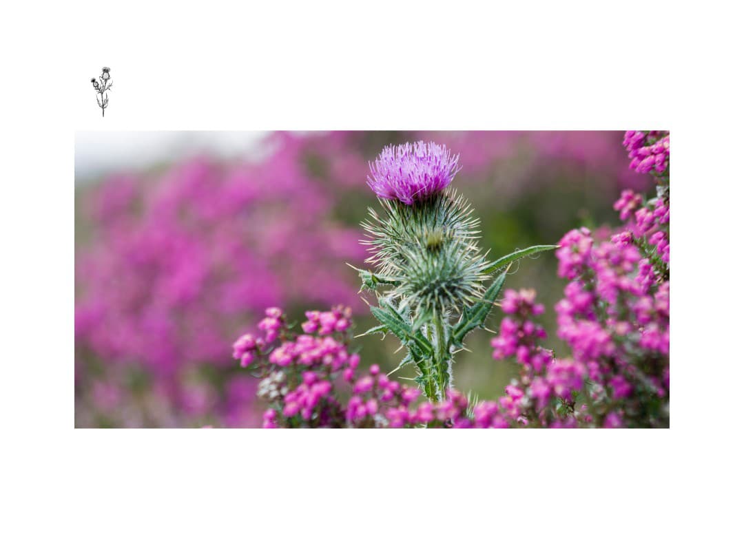 Ilustračný obrázok