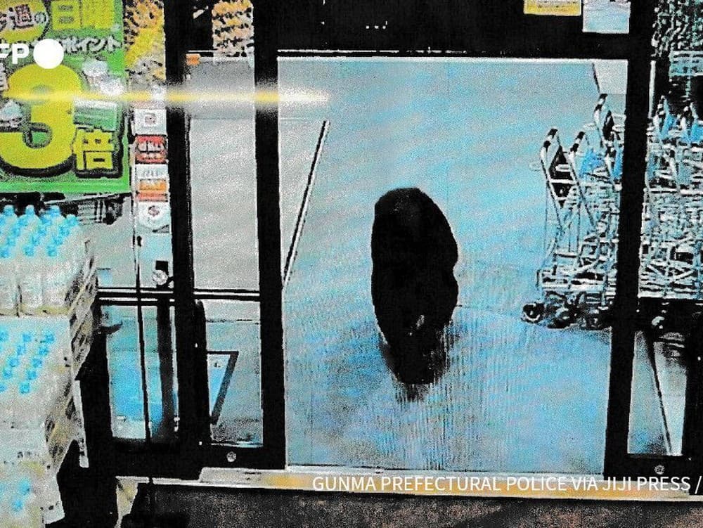 Zatúlaný medveď v japonskom supermarkete.