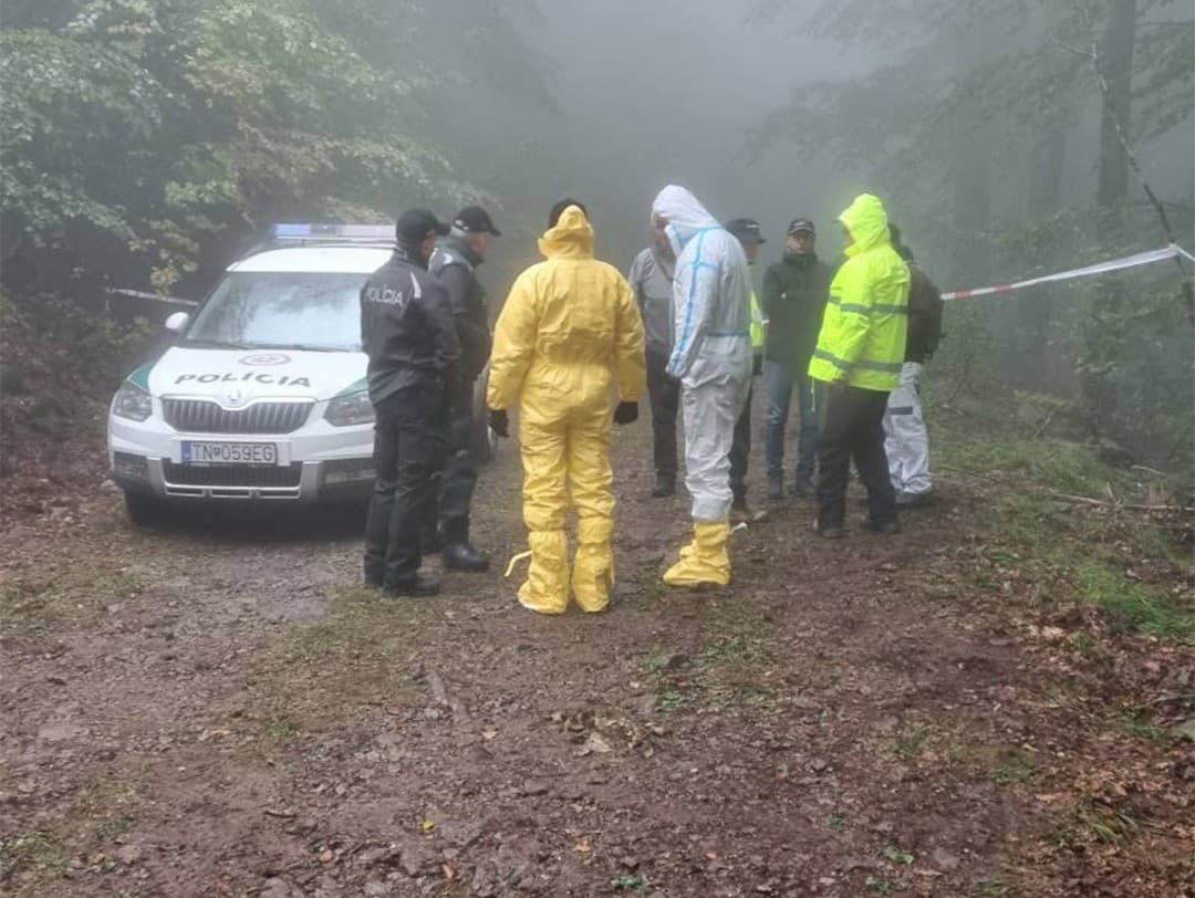 Ilustračný obrázok