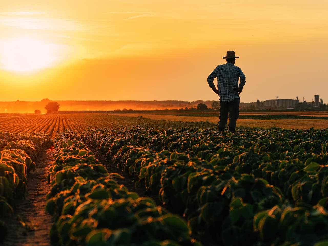 Ilustračný obrázok