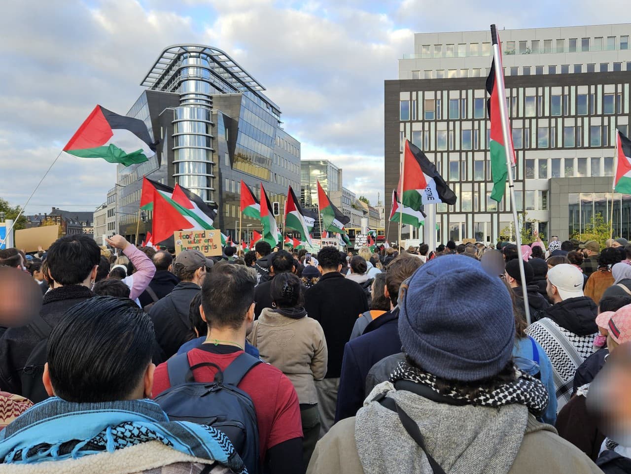 Propalestínska demonštrácia v Berlíne.