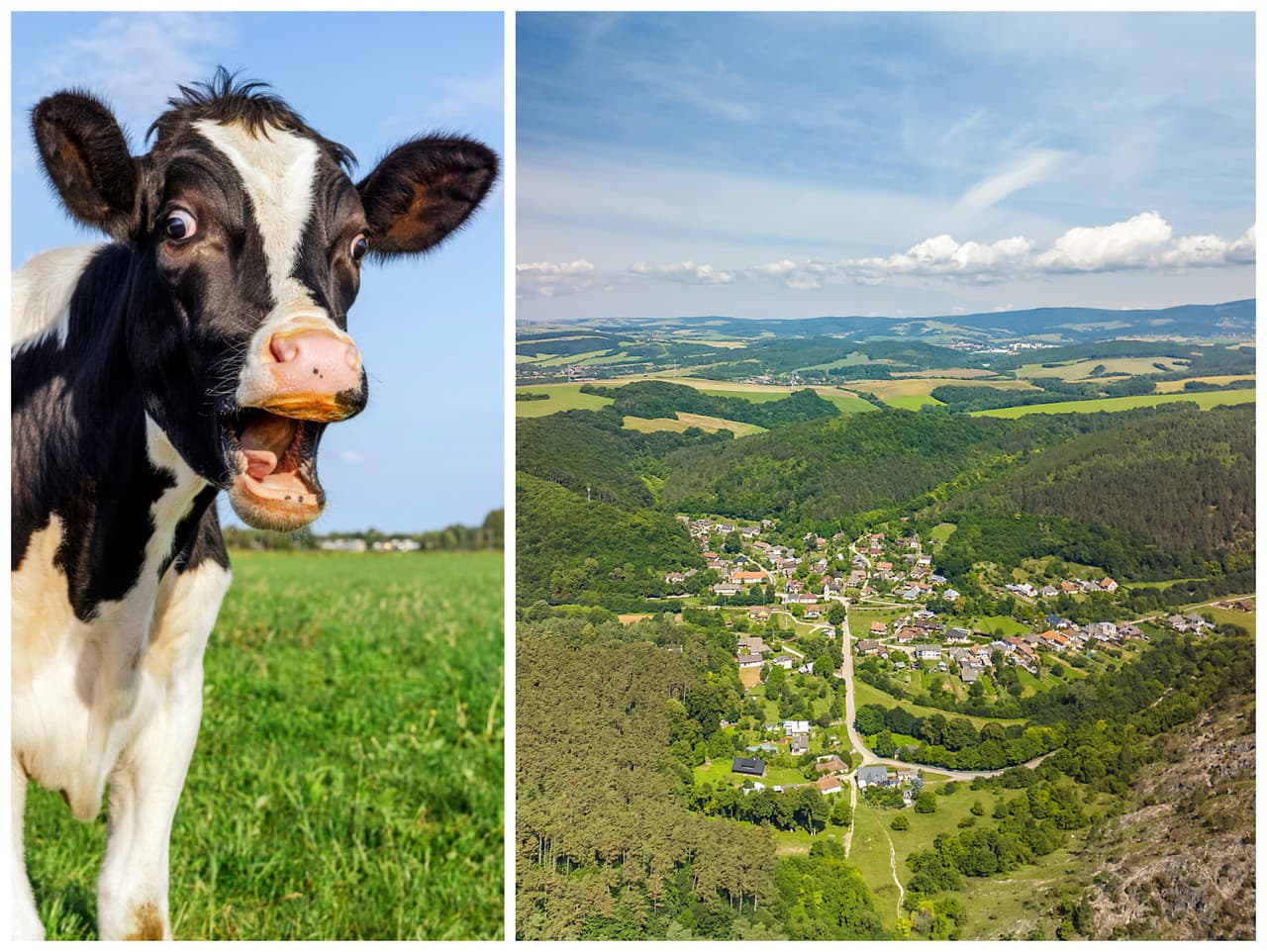 Bizarný a napriek tomu znepokojivý prípad v obci Dolný Vadičov púta pozornosť verejnosti.
