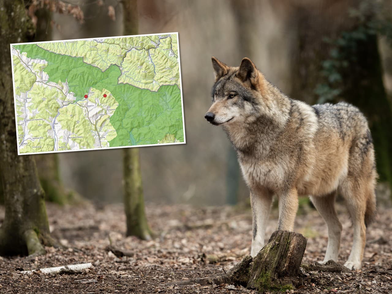 Ilustračný obrázok