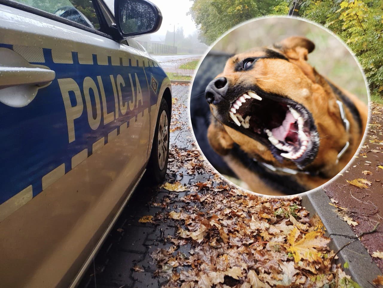 Ilustračný obrázok