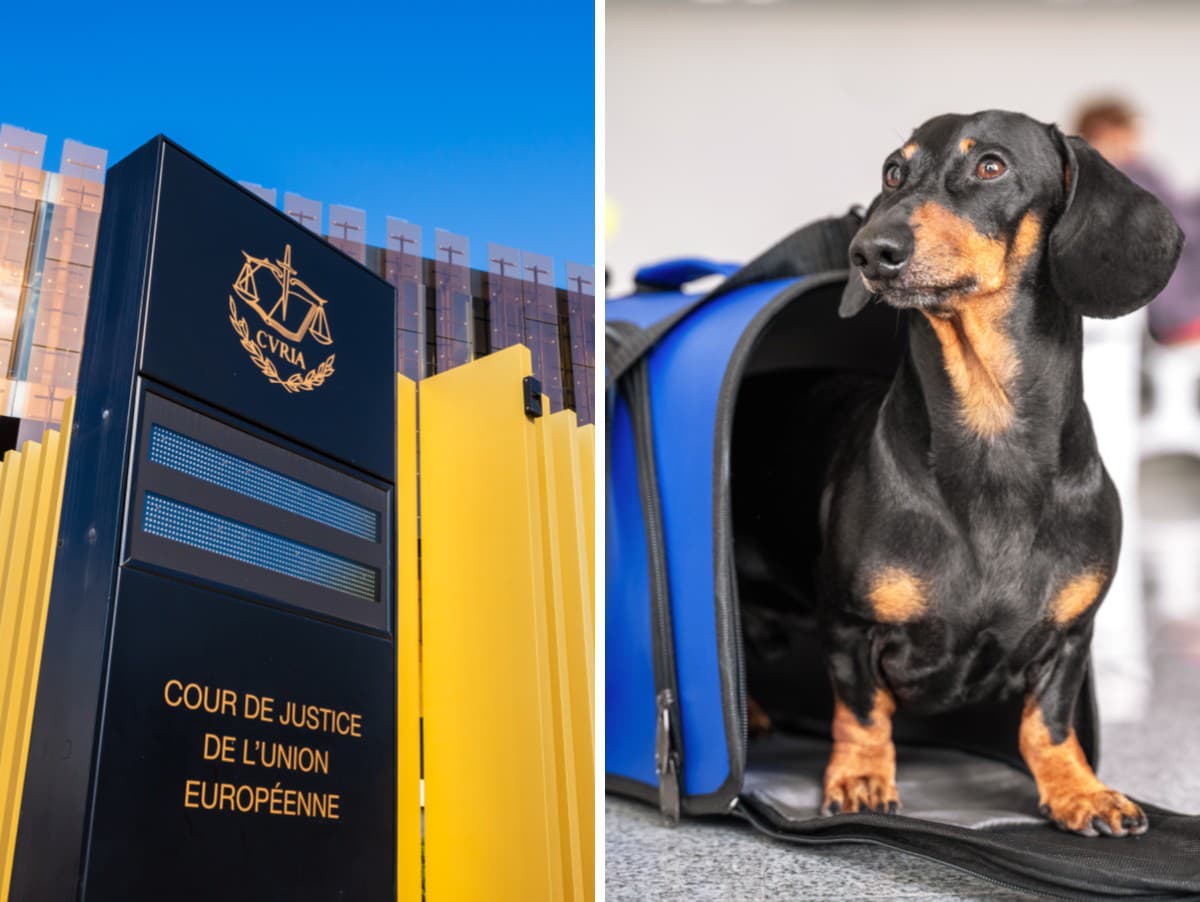 Ilustračný obrázok