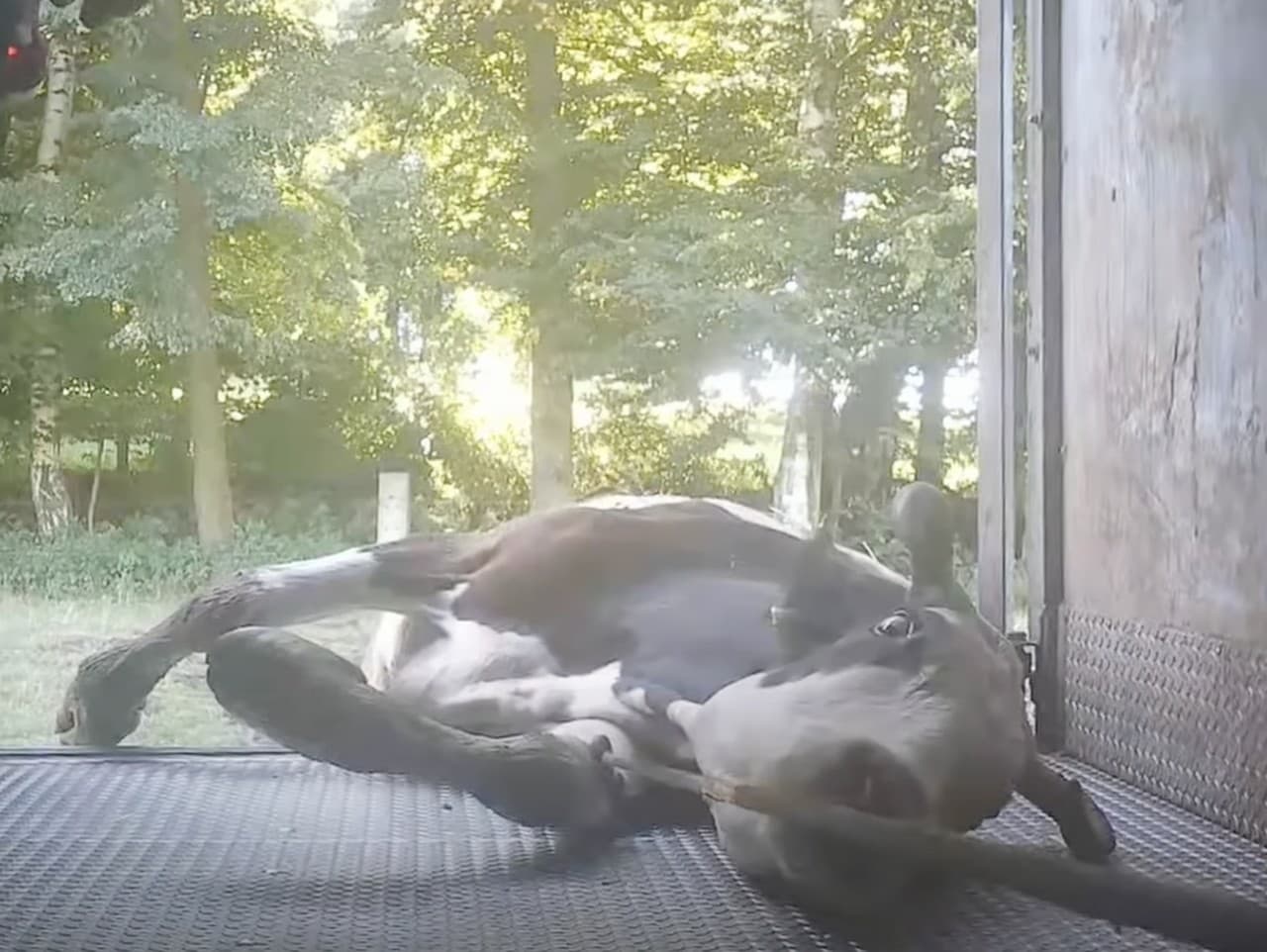 Ilustračný obrázok