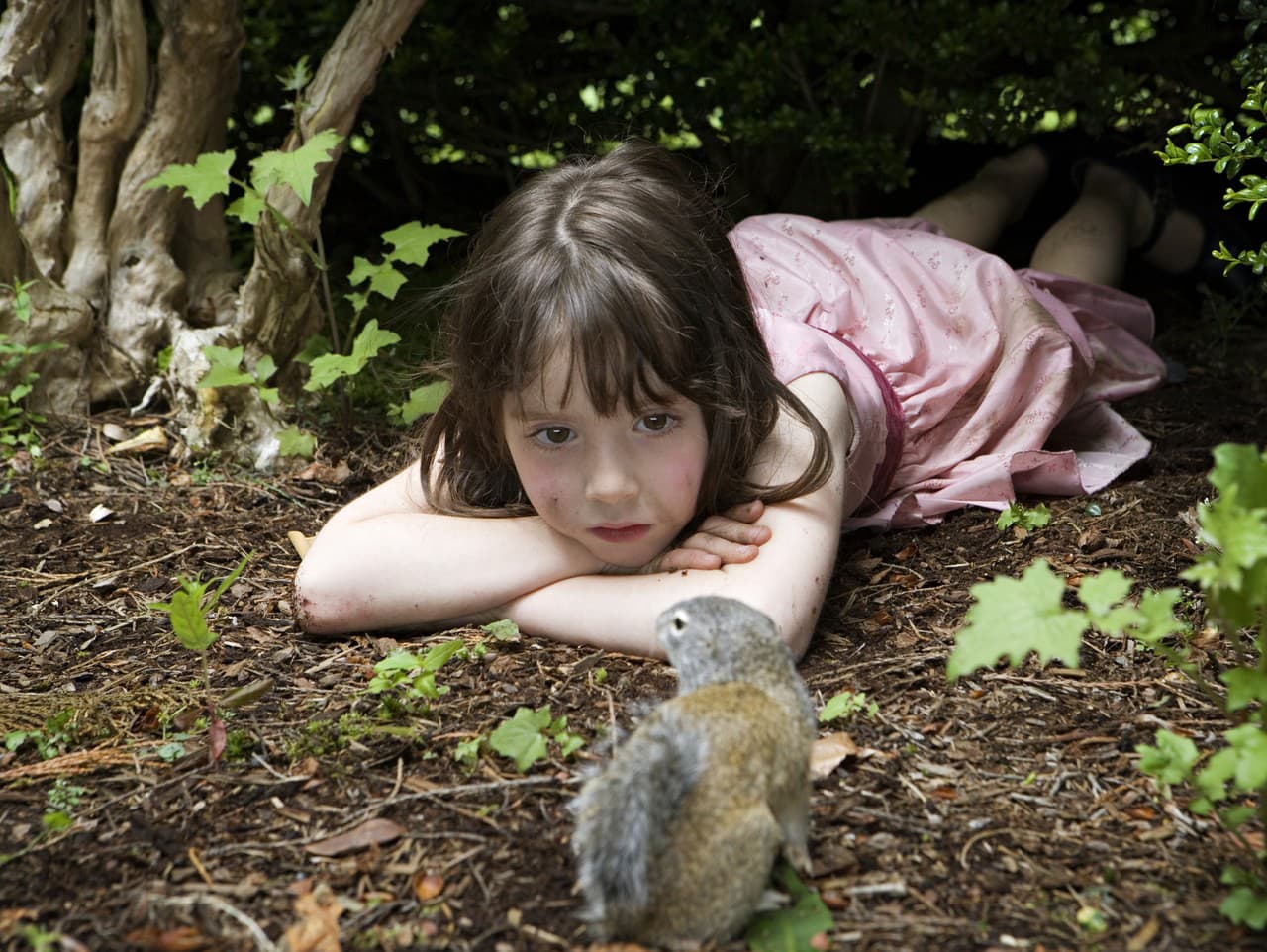 Ilustračný obrázok