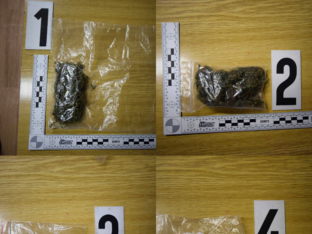 Spolujazdkyňa počas kontroly odovzdala policajtom celú paletu rôznych podozrivých látok