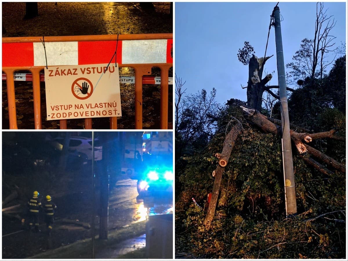 Hasiči odstraňujú spadnutý strom v dôsledku silného vetra na Trnavskej ceste v Bratislave