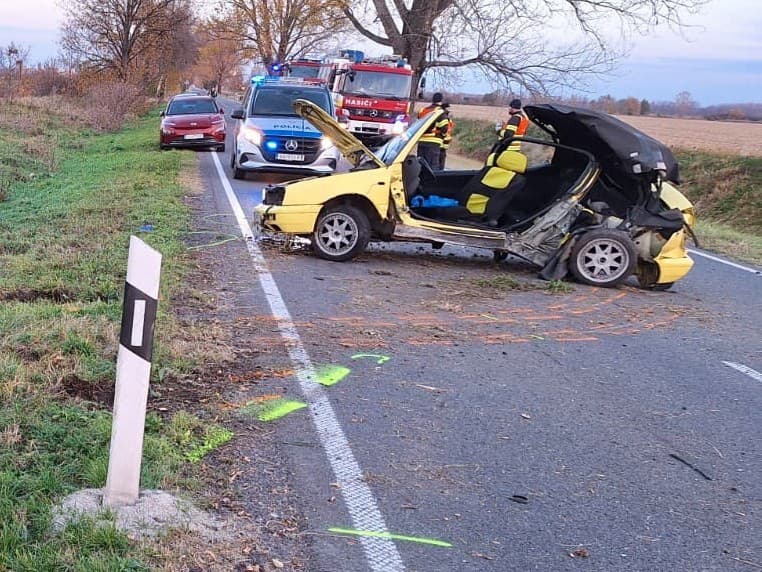 Nehodu neprežili dvaja tínedžeri.