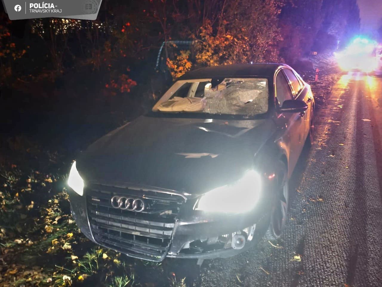 Tragická nehoda medzi Trnavou a Bučanmi, zomrela chodkyňa.