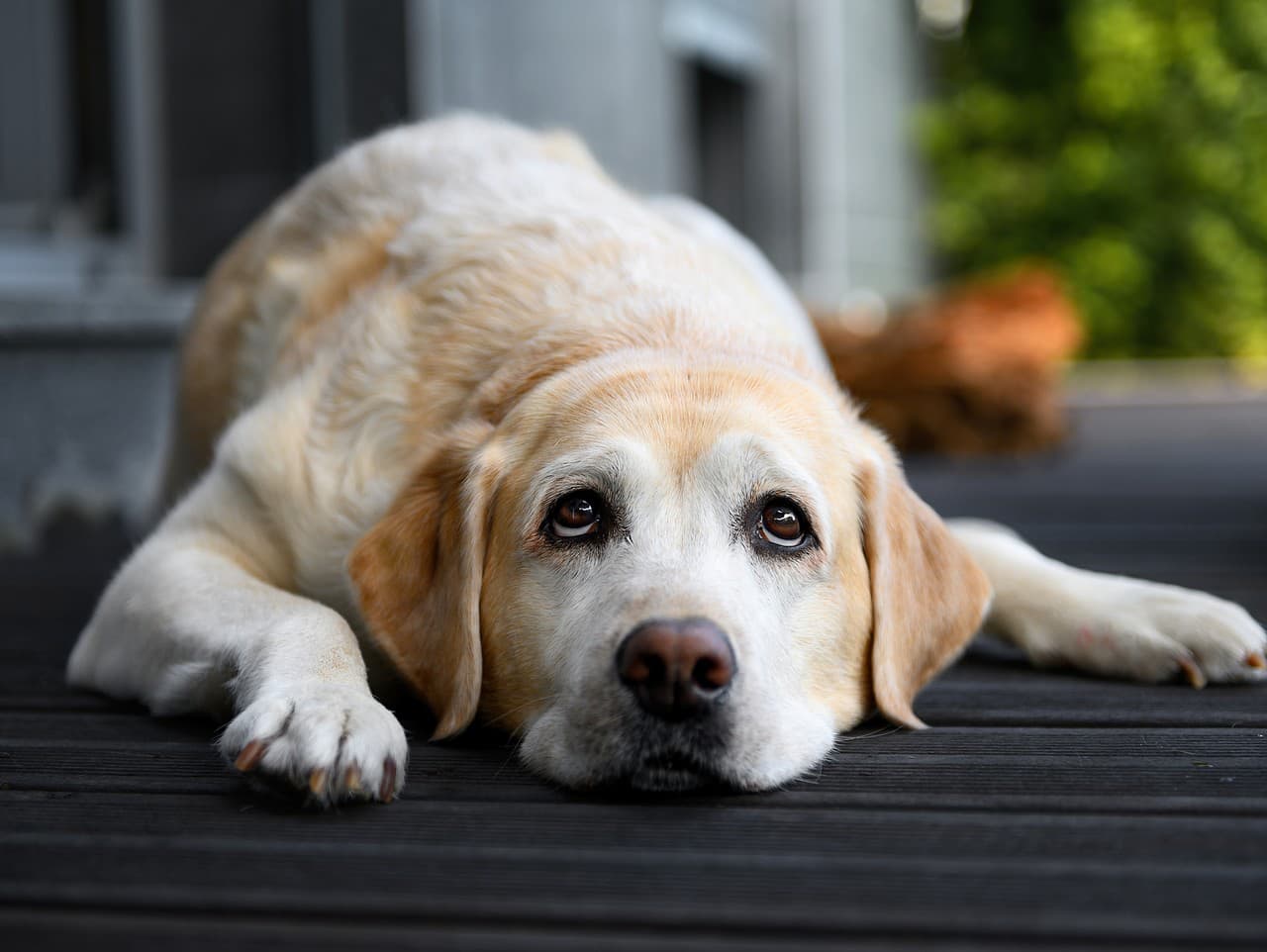 Ilustračný obrázok