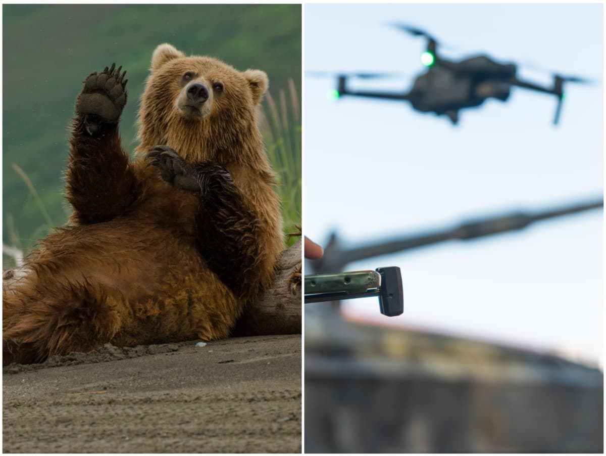 Ilustračný obrázok