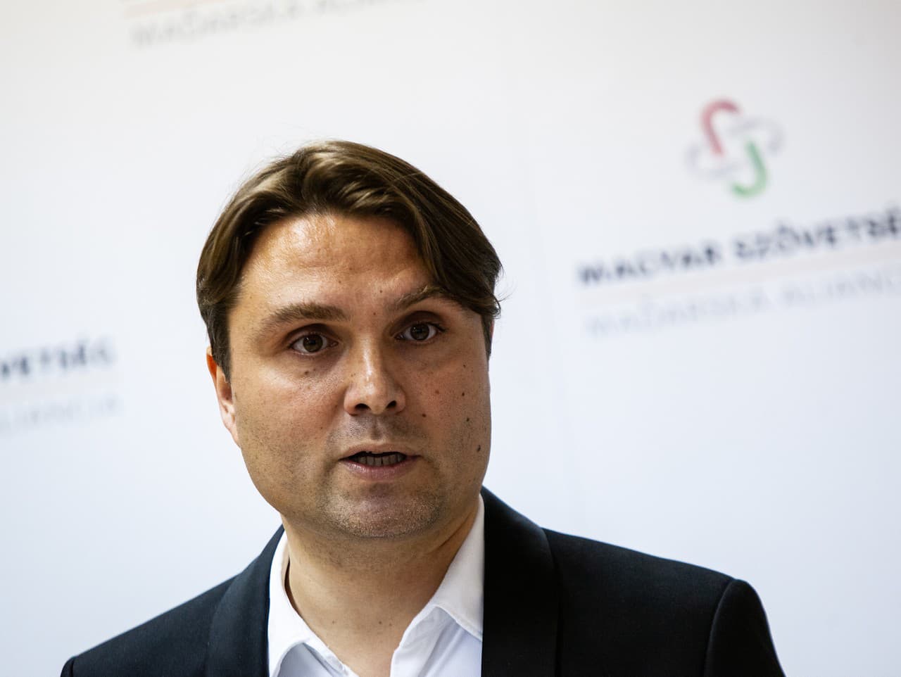 Predseda strany Maďarská aliancia László Gubík.