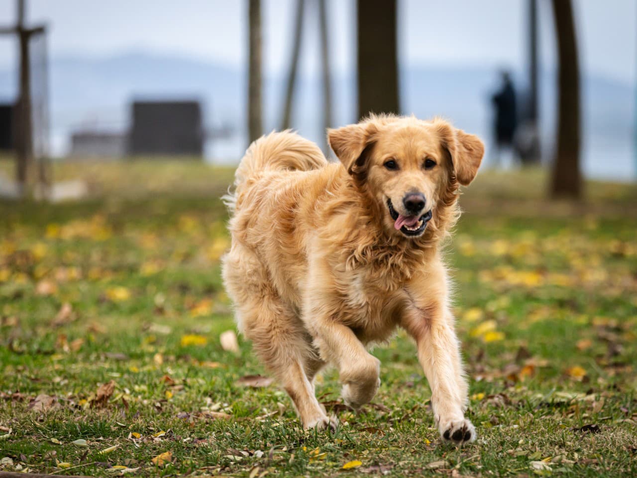 Ilustračný obrázok