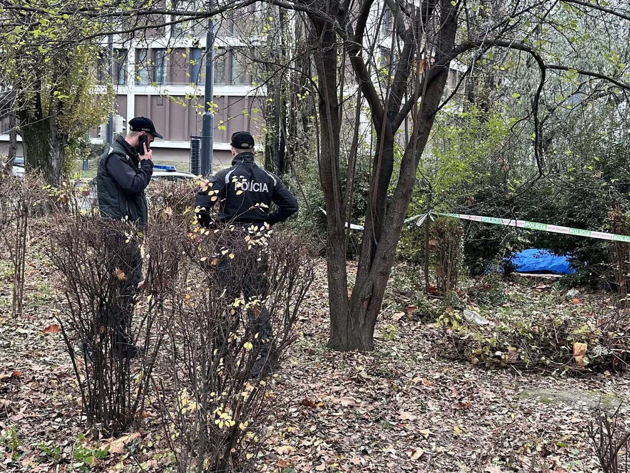 Ilustračný obrázok