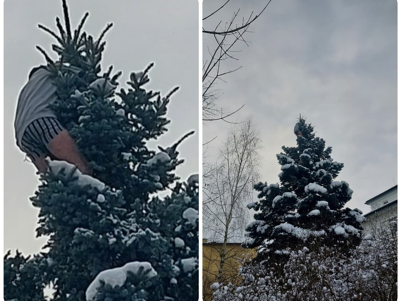 Ilustračný obrázok