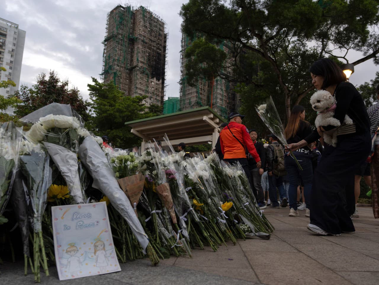 Žena drží psa a pokladá kvety na mieste požiaru vo Wang Fuk Court, rezidenčnom komplexe v štvrti Tai Po v Hongkongu.