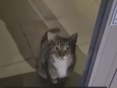 Tajomný narušiteľ spustil alarm!