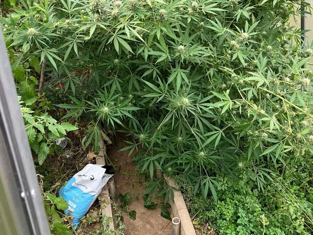 Polícia obvinila z drogového zločinu 44-ročného muža z okresu Ilava.