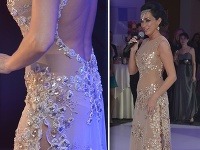 Sisa Sklovská zvolila rafinované šaty. 