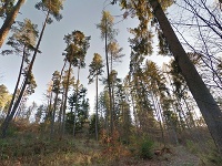 Slovenský raj
Google Street View rozšírili o špeciálne zbierky panoramatických snímok zachytávajúcich krásy Slovenska.