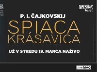 SPIACA KRÁSAVICA