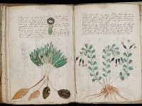 Voynichov rukopis patrí k najzáhadnejším dielam sveta, vedci sa ho snažia rozlúštiť už sto rokov