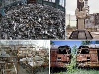 Černobyľská katastrofa očami objektívu
