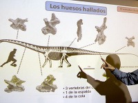 Dinosaura z rodu Titanosaurus objavili v Patagónii.