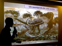 Fosílie pravdepodobne najväčšieho dinosaura v dejinách Zeme.