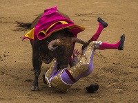 Býky zvíťazili v Madride nad toreadormi, ktorých zranili
