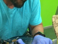 Ruku Borisovho syna Artura zdobí "tetovanie" s motívom obľúbenej rozprávky. 