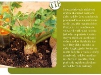 Ukážka z knihy Balkón ako záhradka