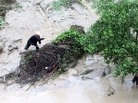 Povodne v Bulharsku