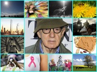 Woody Allen má strach z mnohých vecí. Woody Allen má strach z mnohých vecí.