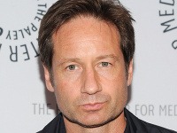 David Duchovny David Duchovny