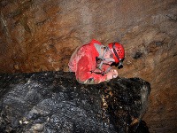 Zber fauny v jaskyniach