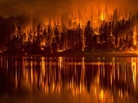 Požiare zachvátia kalifornské lesy takmer každý rok.