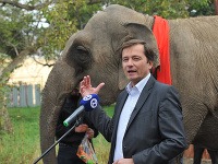 Alexander Ernst oznámil kandidatúru so slonom