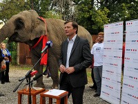Alexander Ernst oznámil kandidatúru so slonom