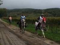Po prvýkrát sa uskutočnili Majstrovstvá sveta vo vytrvalostnom jazdení koní na Slovensku.