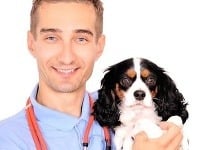 Peter Skladaný pôsobí ako veterinár v Ružinove