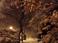 Chicago zakryl sneh