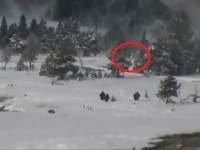 Yeti alebo len skupinka návštevníkov? Yeti alebo len skupinka návštevníkov?