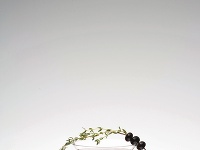 Najúspešnejším luxusným produktom Slovenska vo svete je vodka