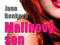 Obal knihy Malinový sen Obal knihy Malinový sen
