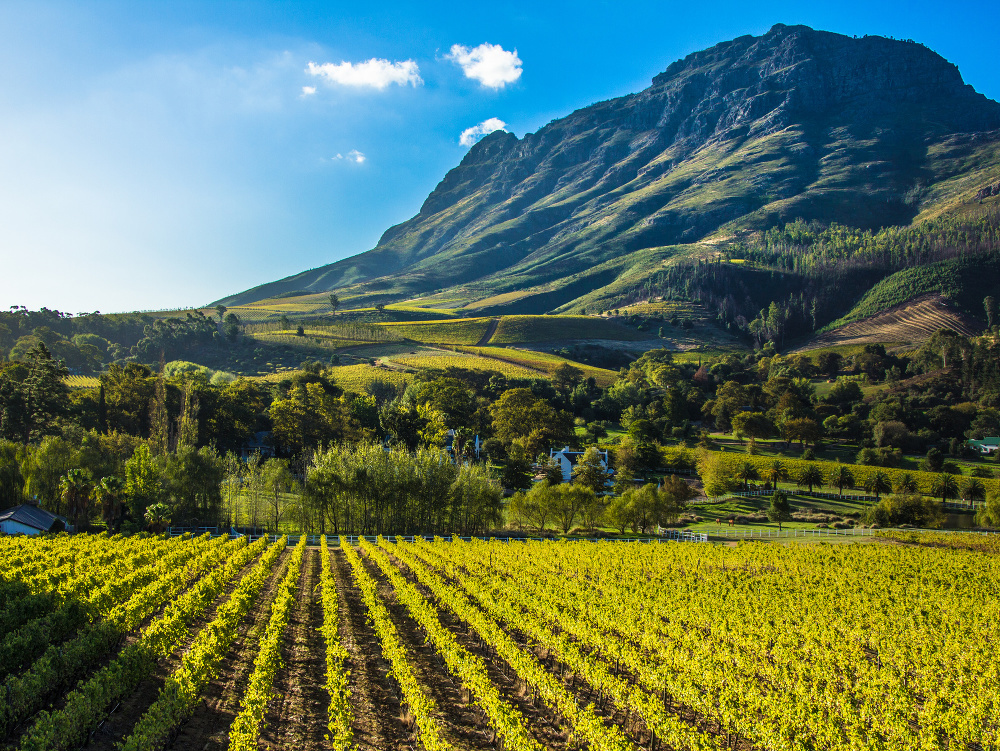 Cape Winelands, Juhoafrická republika